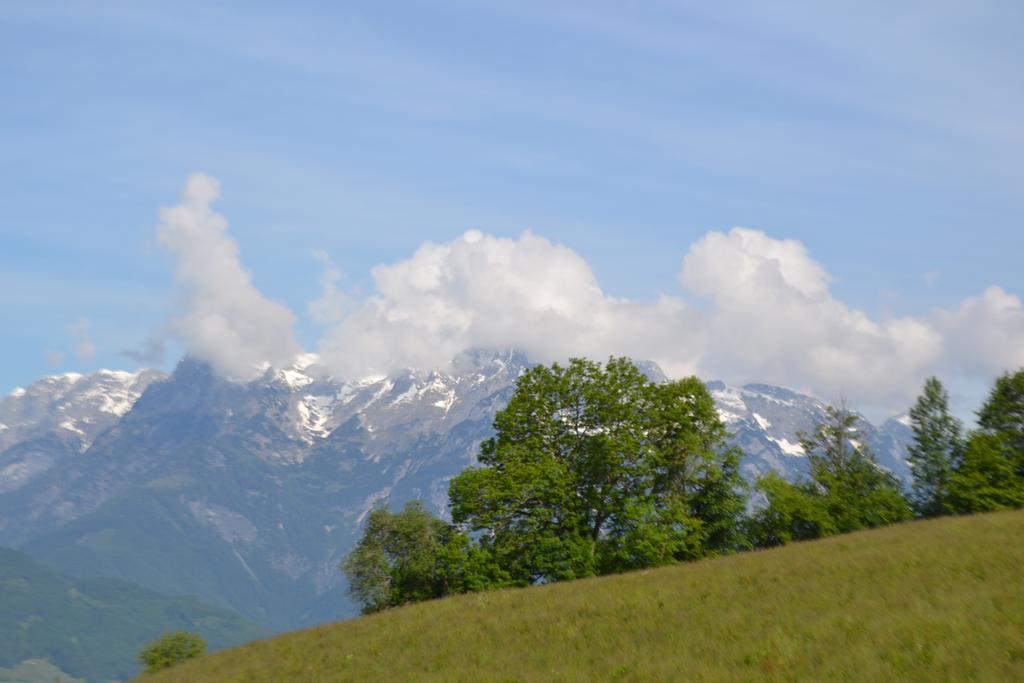 Appartement Steinerhof Werfenweng Luaran gambar