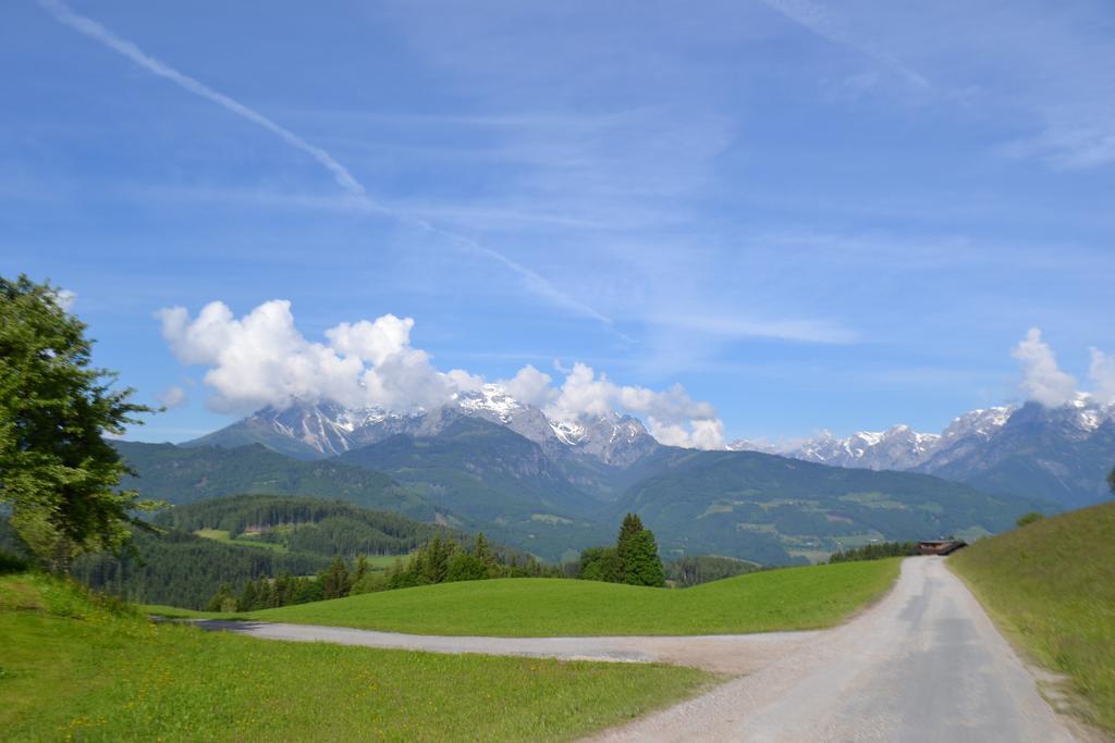 Appartement Steinerhof Werfenweng Bilik gambar